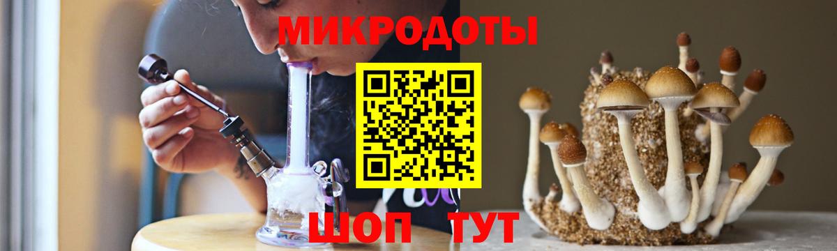 Энгельс  Псилоцибиновые грибы прущие грибы  Вход с VPN 